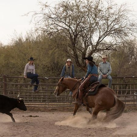 Hotel Kay El Bar Guest Ranch Wickenburg Exterior foto