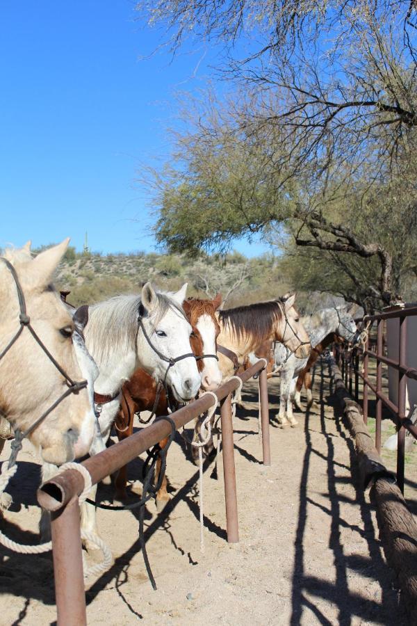 Hotel Kay El Bar Guest Ranch Wickenburg Exterior foto