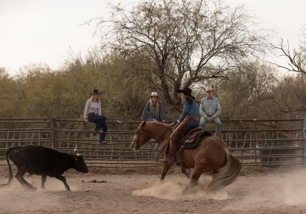 Hotel Kay El Bar Guest Ranch Wickenburg Exterior foto